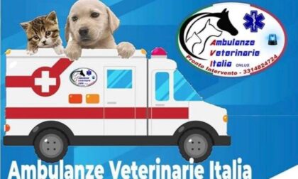 In arrivo un servizio di ambulanza veterinaria