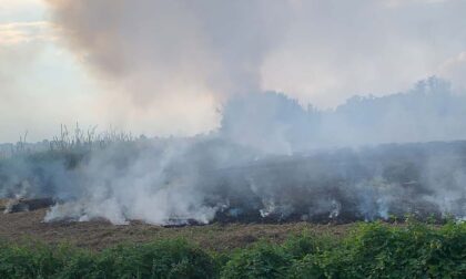 Tricerro: fiamme in un prato vicino al centro abitato