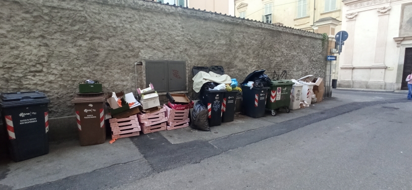 Città allo sbando: cassonetti e cestini pieni, giungla e foglie non raccolte