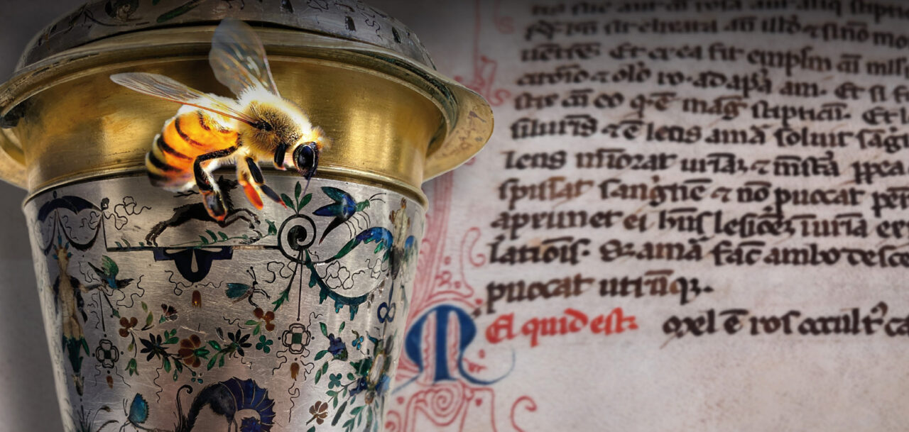 Dolce come l’arte. Il miele tra cultura e apicoltura