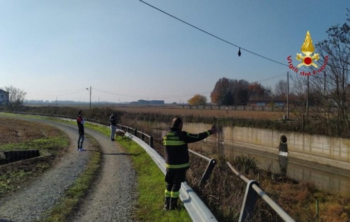 Anatra salvata dai Vigili del Fuoco ai Cappuccini