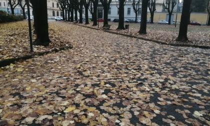 Urge la pulizia foglie: "In piazza Mazzini vialetti scivolosi, si rischia di cadere"