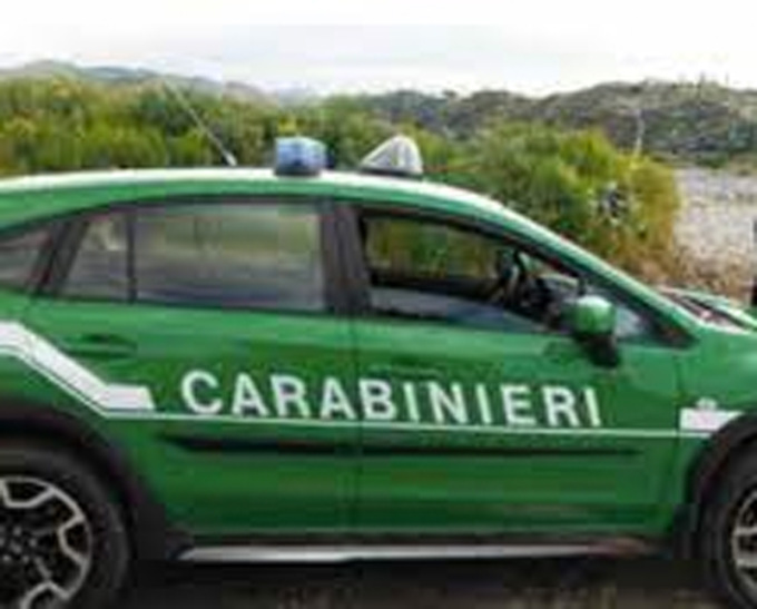 Giornata Nazionale dell’Albero con i Carabinieri della Forestale