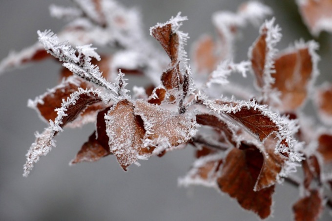 Meteo Vercelli: farà più freddo, ma tempo sereno fino a metà mese