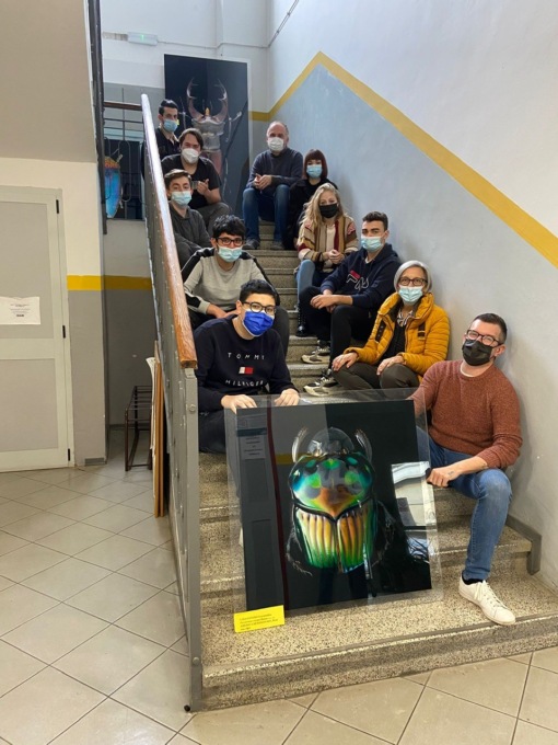 L’Istituto Calamandrei ospita la Mostra Insecta