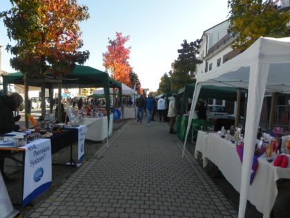Fiera di San Martino: nel weekend il gran ritorno della tradizione a Tronzano