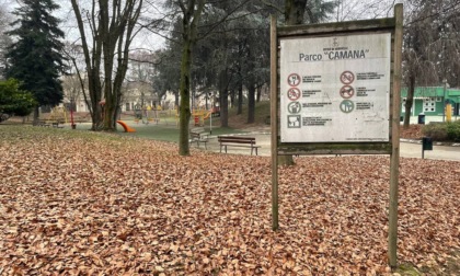 Al via i lavori di pulizia al parco Camana di Vercelli