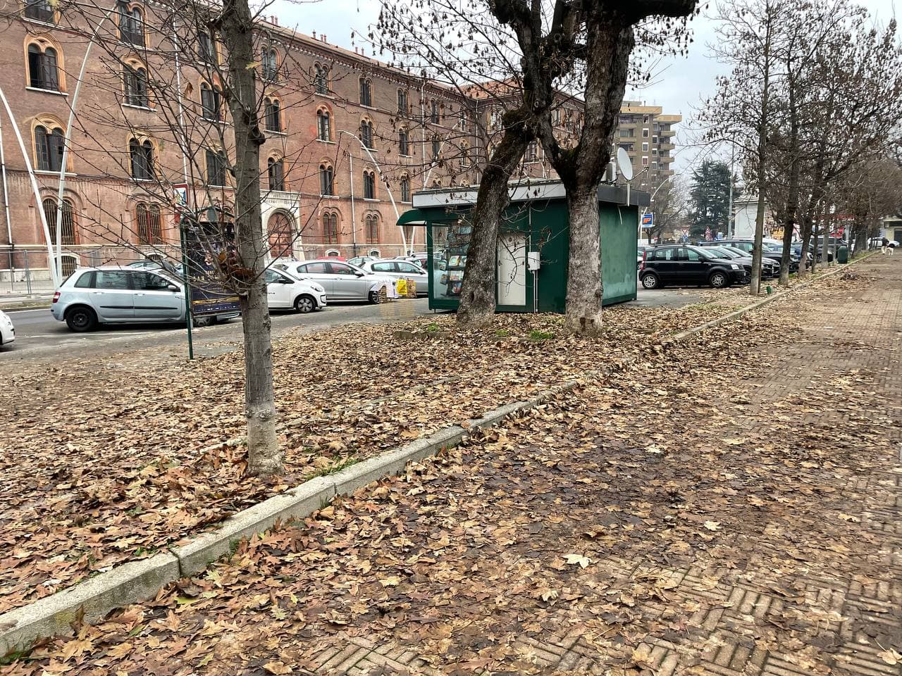 Piazza Modesto Cugnolio (1)