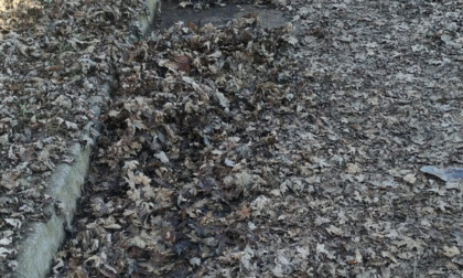 Via Campora: il video delle foglie mai spazzate