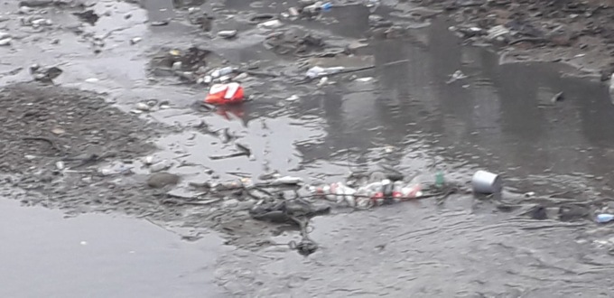 Cervetto pattumiera: altre immagini del disastro