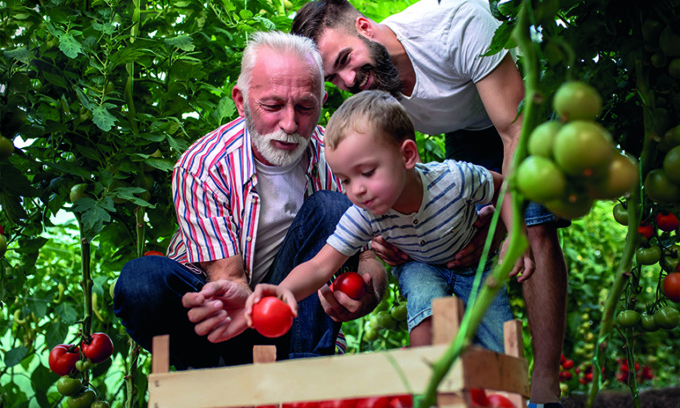 Tanti auguri papà… green: mandate le foto e messaggi di auguri a Notizia Oggi Vercelli