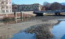 Siccità in Piemonte: gennaio 2022 è stato il quinto mese più secco degli ultimi 65 anni