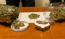 In casa aveva 105 grammi di marijuana: denunciato dai Carabinieri