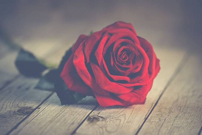 “Ti regalerò una rosa”: i volontari di Diapsi Vercelli saranno in azione sabato 9 e domenica 10 maggio