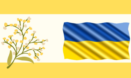 Fioristi di Vercelli uniti per l'emergenza Ucraina