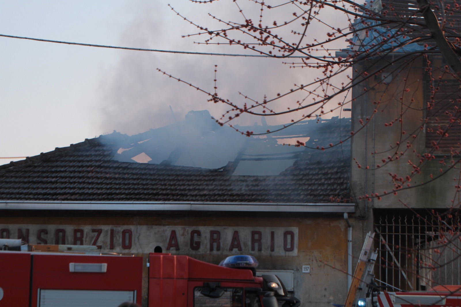 tronzano4 incendio