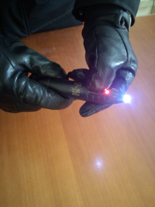 Spara col taser a un cane, denunciato per porto abusivo d’armi