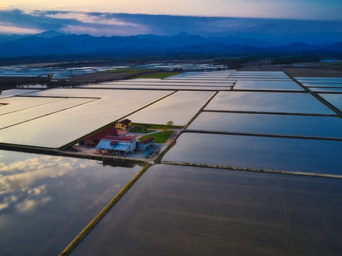 Strada del riso e Fondazione Viotti presentano Viotti Rice Tour