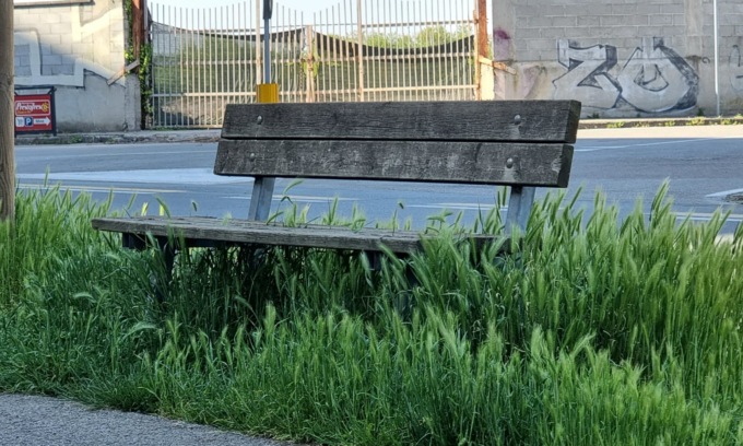 Giungla in Viale Torricelli, panchine assediate da erbe