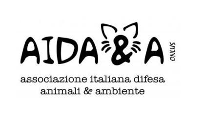 Cani trovati morti a Vercelli: arriva la taglia da 1800 euro