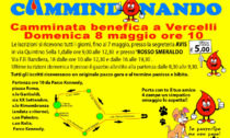 Domenica 8 maggio: "Cammindonando", camminata benefica dell'Avis