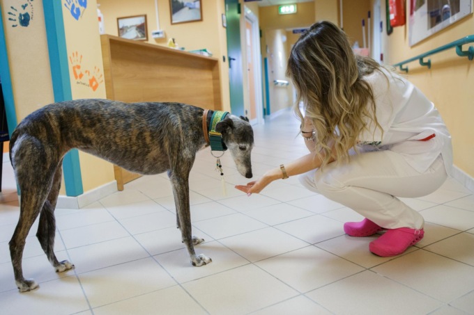 Porte aperte agli animali domestici all’hospice Casa Tempia di Gattinara