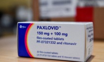 Nelle farmacie Piemontesi l'anti Covid Paxlovid