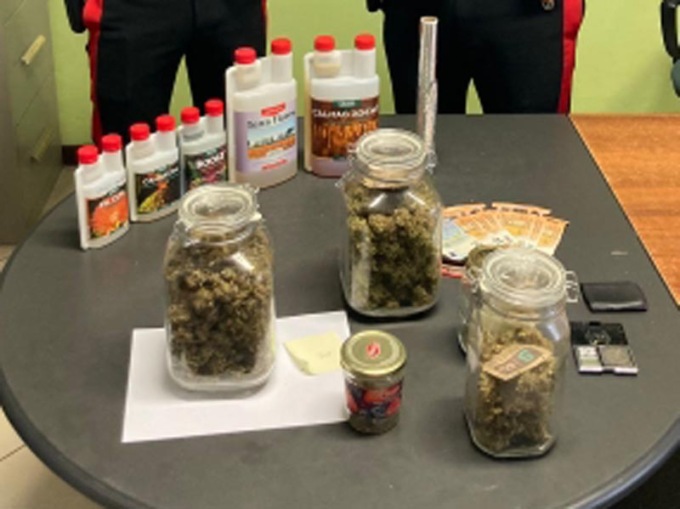 Santhià, arrestato 27enne: in casa 5 piante di marijuana e prodotto pronto per lo spaccio