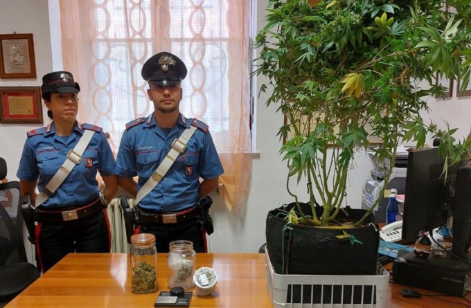 Aveva una piantina e 90 grammi di marijuana in casa, denunciato dai Carabinieri