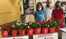 Gardensia Aism 2022: 700 piantine distribuite nel Vercellese
