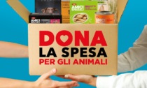 Dona la spesa per gli animali: campagna di Nova Coop