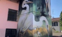 Street art: a Rive decorata una cabina Enel