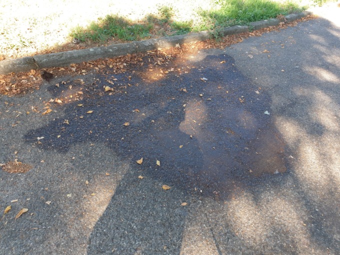Sporcizia e situazioni di disagio nel parco di corso Bormida