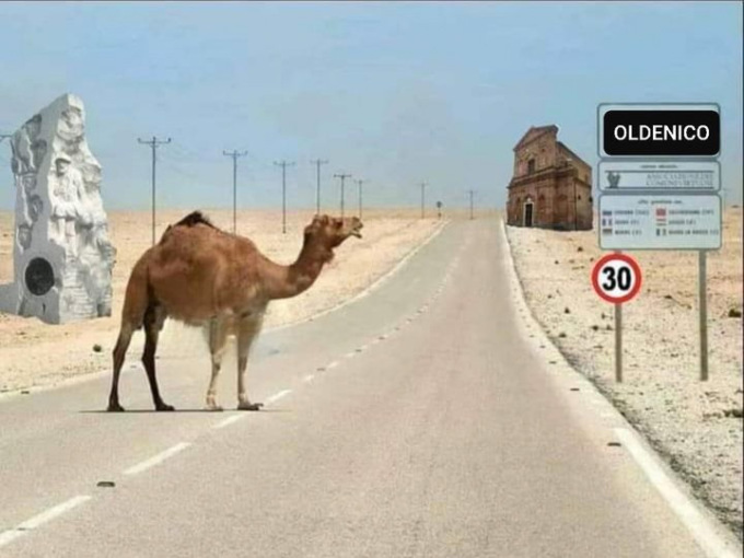 Oldenico nel Sahara… con tanto di cammello