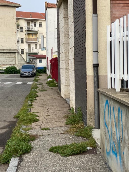 Città sempre più verde… Via Alberti affonda tra le erbacce