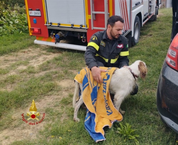 I Vigili del Fuoco salvano un cane intrappolato sotto il ponte del Cervo