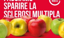 La mela dell' Aism torna nelle piazze vercellesi per la lotta alla sclerosi multipla