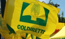 Coldiretti chiama a raccolta per la protesta di Milano contro il caro bollette