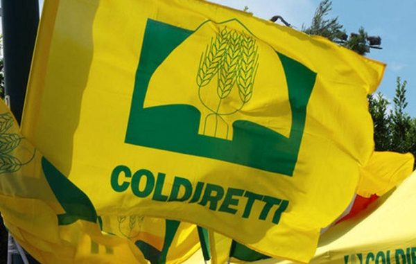 Grande festa per gli 80 anni di Coldiretti Vercelli-Biella