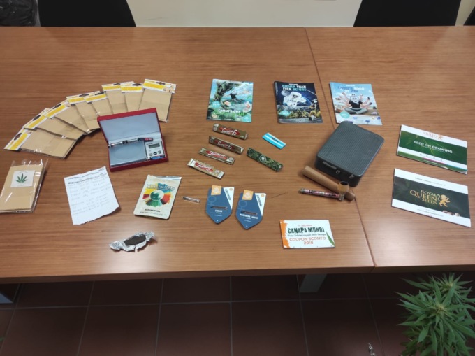 In garage cinque piante di cannabis, hashish e semi di canapa