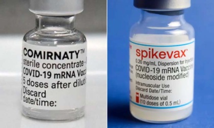 Comirnaty e Spikevax: i nuovi vaccini bivalenti Covid, cosa sono e quando arrivano