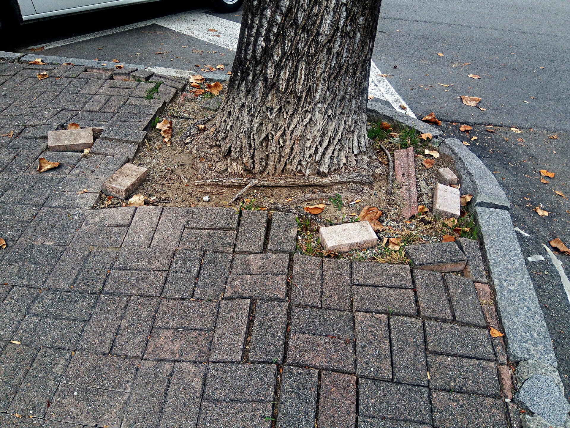 Corso Abbiate pavimentazione viale rovinata 02