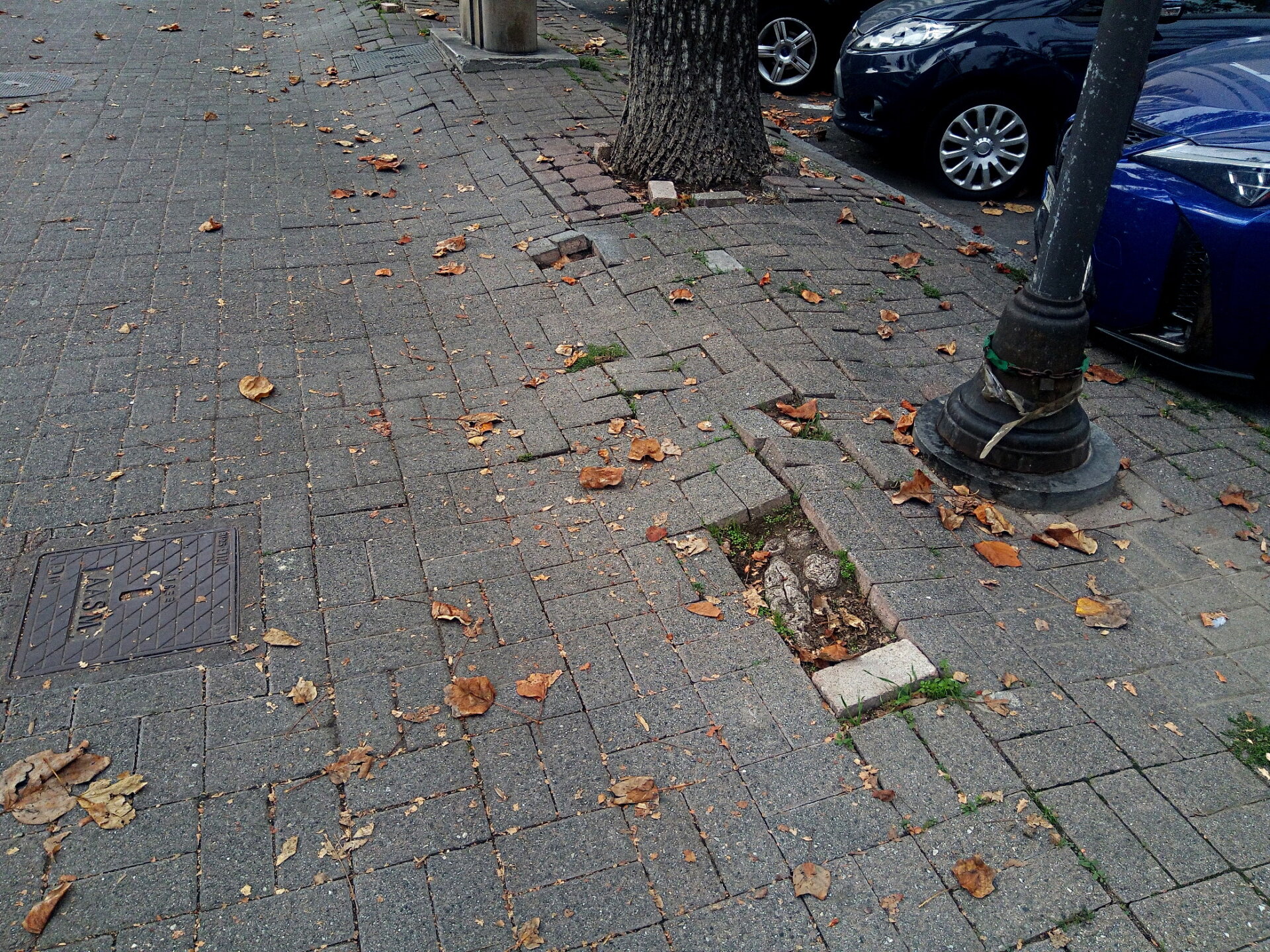 Corso Abbiate pavimentazione viale rovinata 05