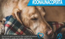 Anche a Vercelli la campagna #donaunacoperta per gli animali