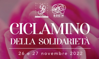 A Vercelli la due giorni del "Ciclamino solidale"