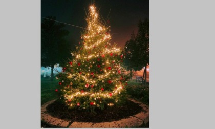 A Santhià l'albero di Natale è "per sempre"