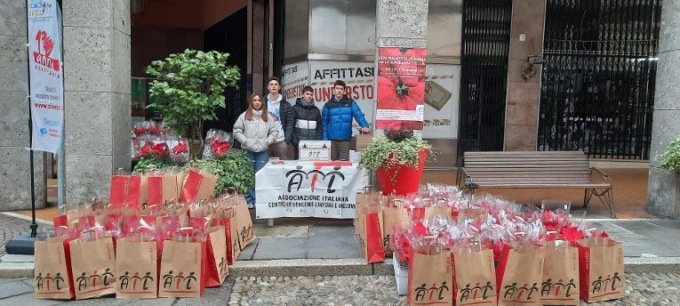 Stelle Natale Ail 2022: nel vercellese raccolti ben 28.000 euro