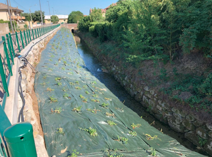 Bianzè: altre venti piante con il progetto Urban Forestry