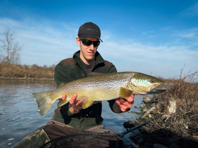Mega trota pescata nell’Elvo quasi in secca