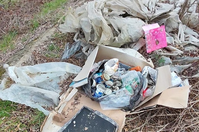 Cibo ancora buono buttato via: un insulto a chi soffre
